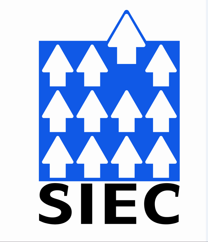 siec.jpg